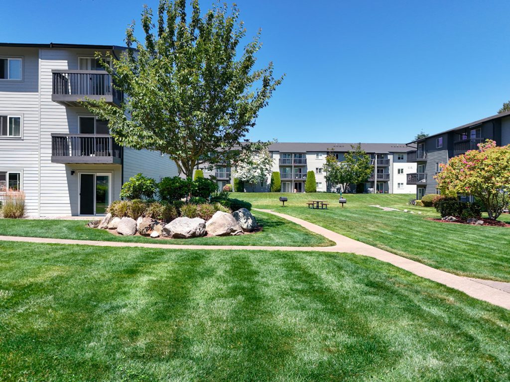 Pacific Park Lawn